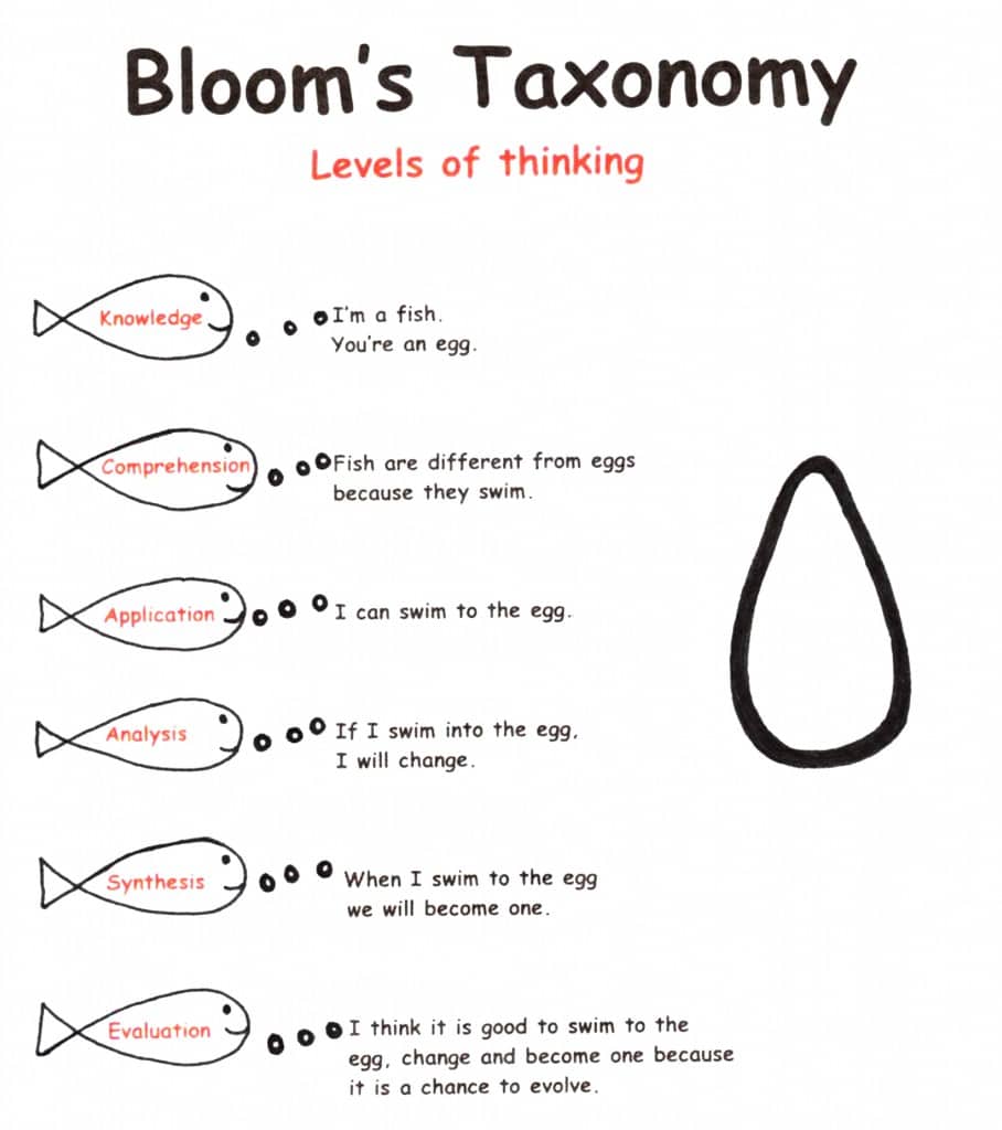 BLOOMS TAXONOMY BLOOMS TAXONOMY